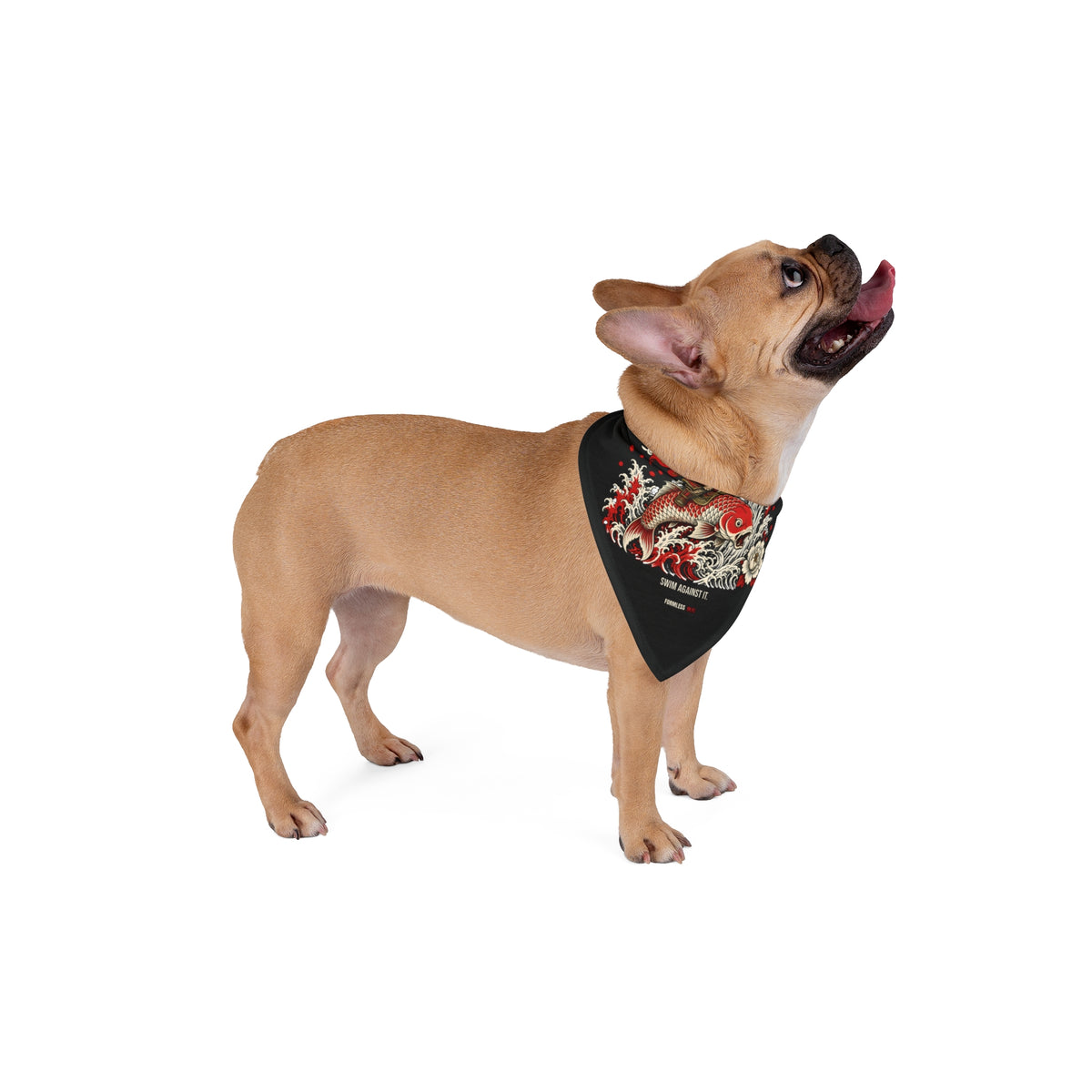 KOI dog bandana in black with red koi, waves and white flowers print, worn by a tan dog, side view | Formless