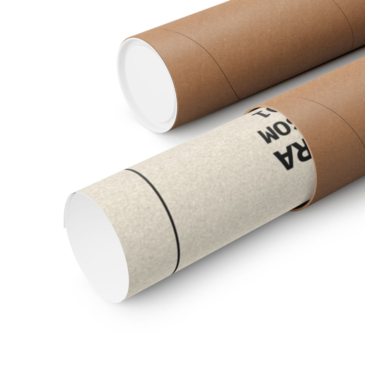 RYŪ dragon matte poster, 24×36 in, rolled in a shipping tube | Formless