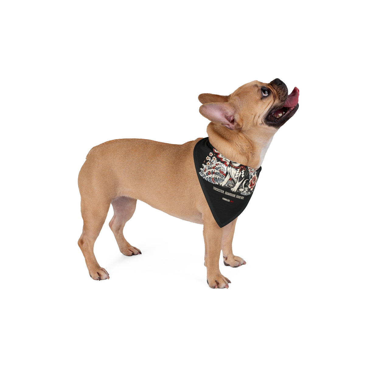 KITSUNE dog bandana in black with fox-mask guardian dog and flowers print, worn by a tan dog, side view | Formless