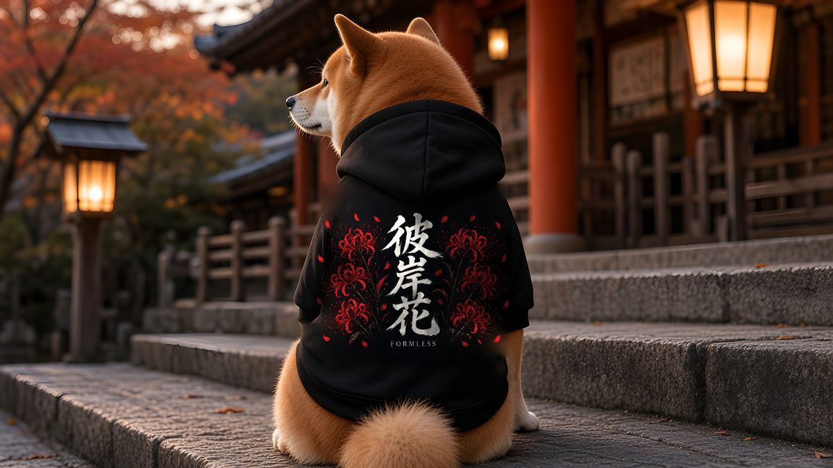 Shiba inu in the HIGANBANA dog hoodie at a Kyoto shrine